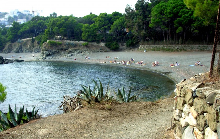 Location de vacances - Maison - Villa à Llançà - Plage "Tonynes"