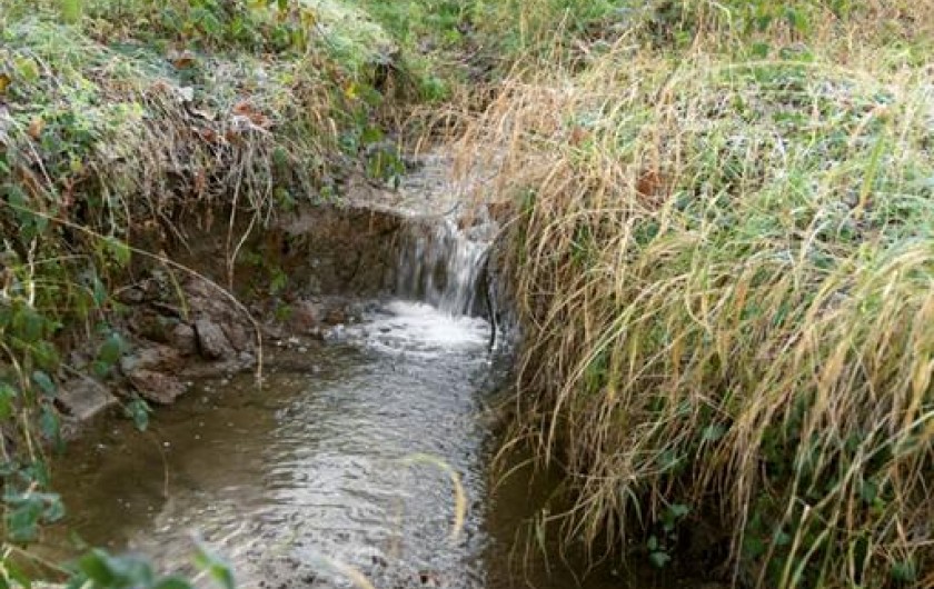 Location de vacances - Chambre d'hôtes à Laruscade - Notre ruisseau, classé Natura 2000, la Moulinasse.
