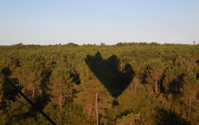 Location de vacances - Chambre d'hôtes à Laruscade - Survol de la forêt