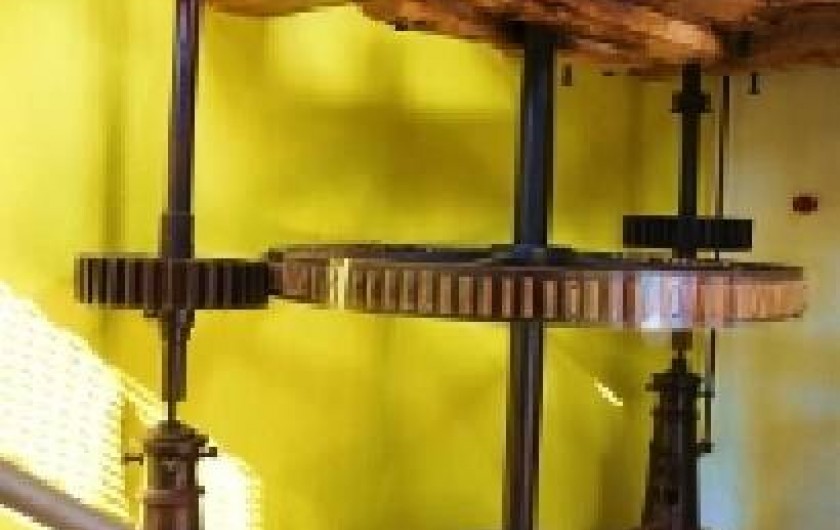 Location de vacances - Maison - Villa à Latinne