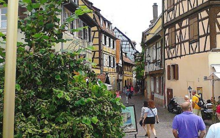 Location de vacances - Gîte à Colmar