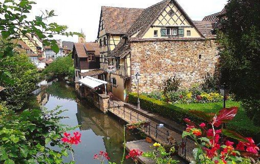 Location de vacances - Gîte à Colmar