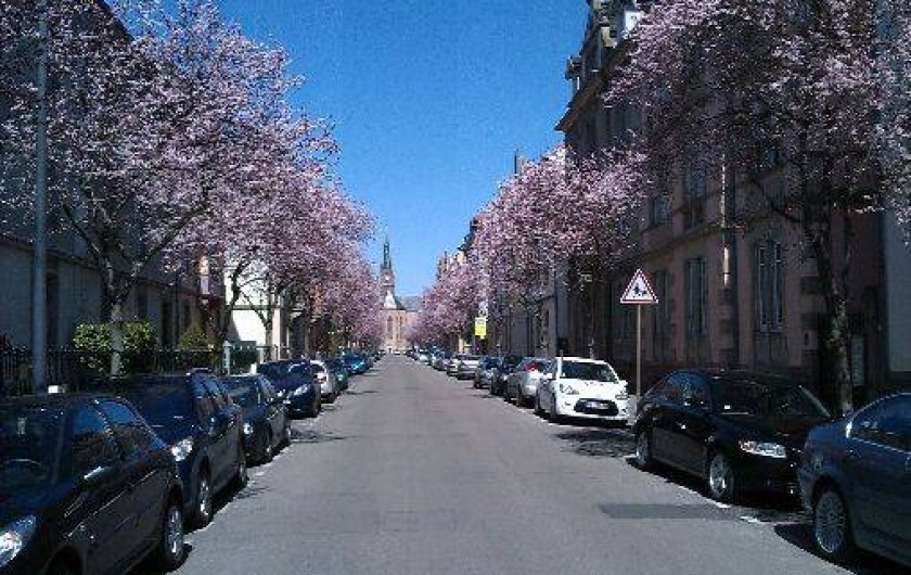 Location de vacances - Gîte à Colmar