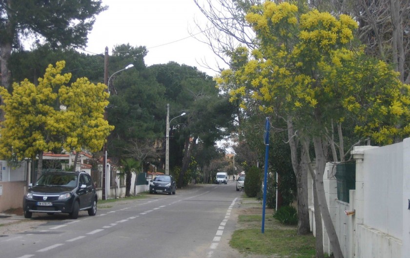 Location de vacances - Appartement à Argelès-sur-Mer - Avenue des mimosas