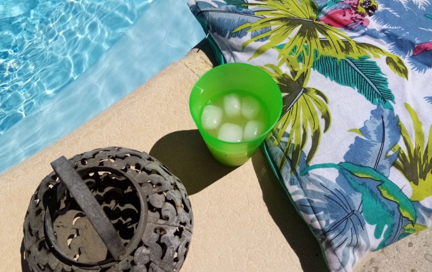 Location de vacances - Gîte à L'Isle-sur-la-Sorgue - Se désaltérer