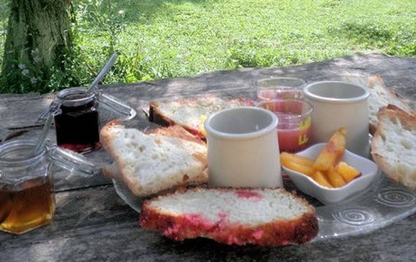 Location de vacances - Gîte à L'Isle-sur-la-Sorgue - Petit déjeuner sur l'herbe