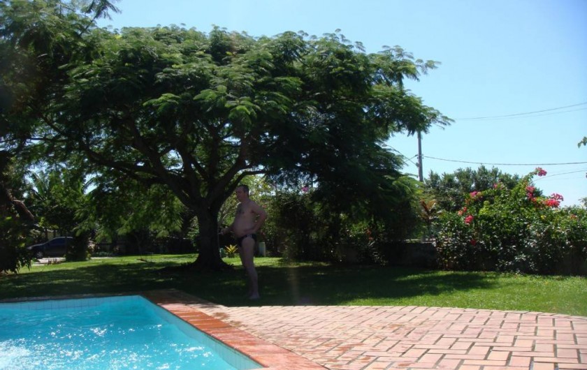 Location de vacances - Villa à Armação dos Búzios - la piscine et le jardin