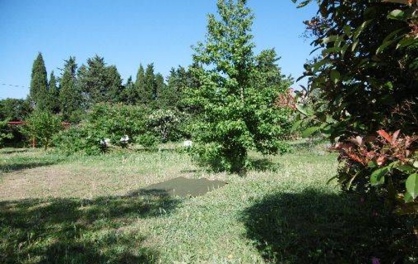 Location de vacances - Gîte à Elne - le parc