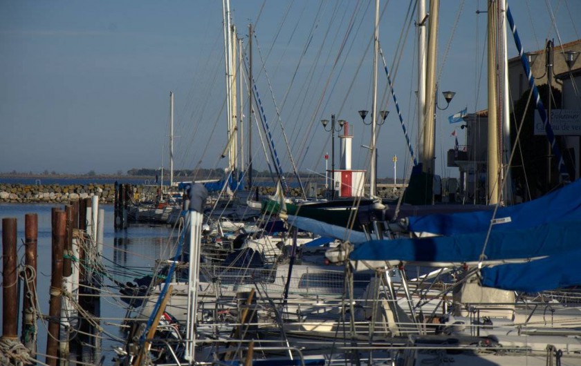 Location de vacances - Appartement à Marseillan