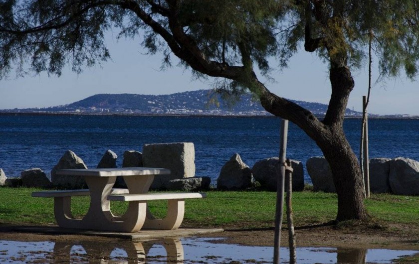 Location de vacances - Appartement à Marseillan