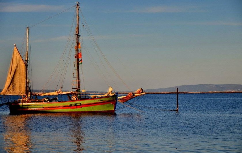 Location de vacances - Appartement à Marseillan