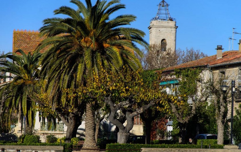 Location de vacances - Appartement à Marseillan