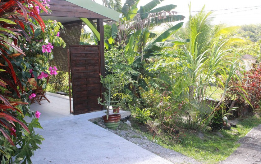 Location de vacances - Bungalow - Mobilhome à Rivière-Salée - Paysage autour du Bungalow (petit coin de verdure)