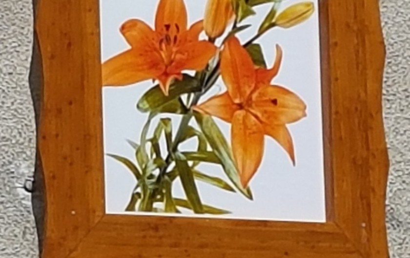 Location de vacances - Appartement à Le Bourg-d'Oisans