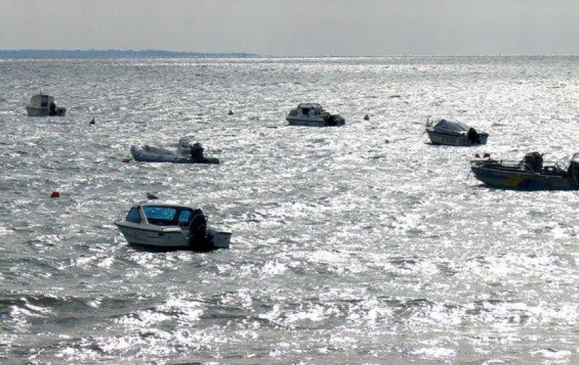 Location de vacances - Maison - Villa à Saint-Pierre-Quiberon