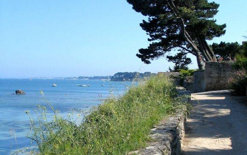 Location de vacances - Maison - Villa à Saint-Pierre-Quiberon