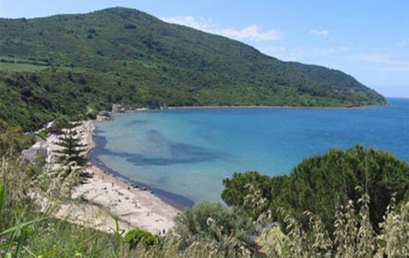 Location de vacances - Appartement à Agropoli - Une des nombreuses plages