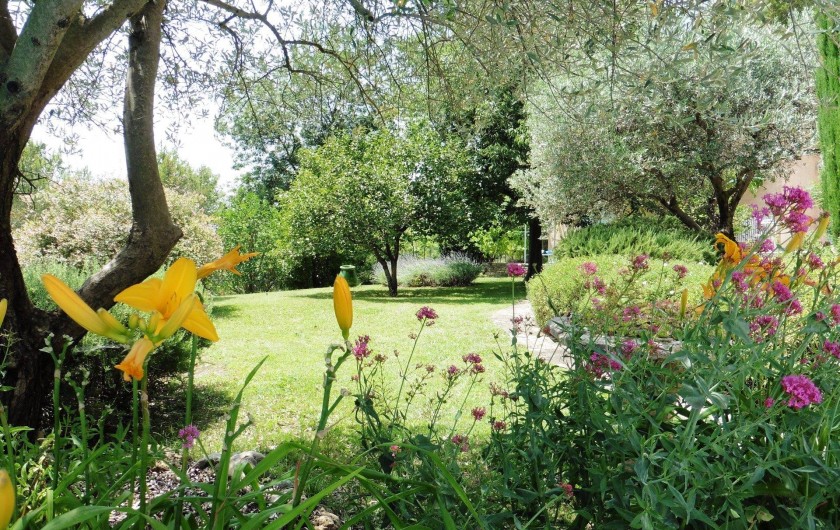 Location de vacances - Chambre d'hôtes à Entrechaux - Les jardins de l'Esclériade : des fleurs en toutes saisons.