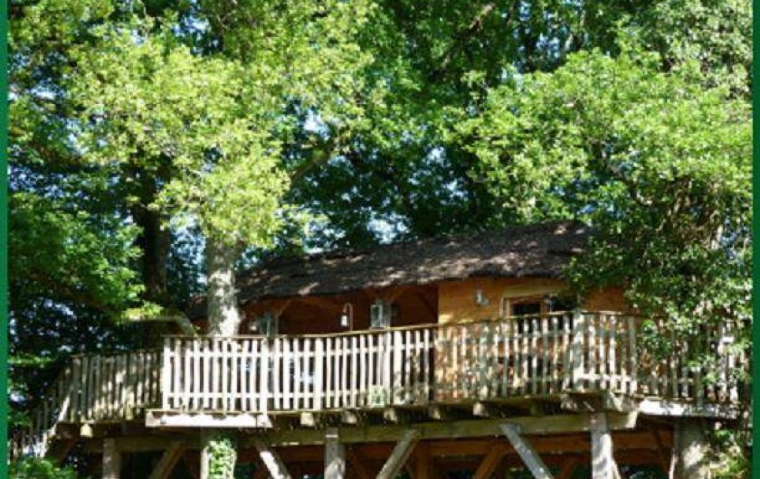 Location de vacances - Cabane dans les arbres à Chalais