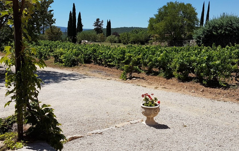 Location de vacances - Mas à Lorgues - Jardin vue côté vignes