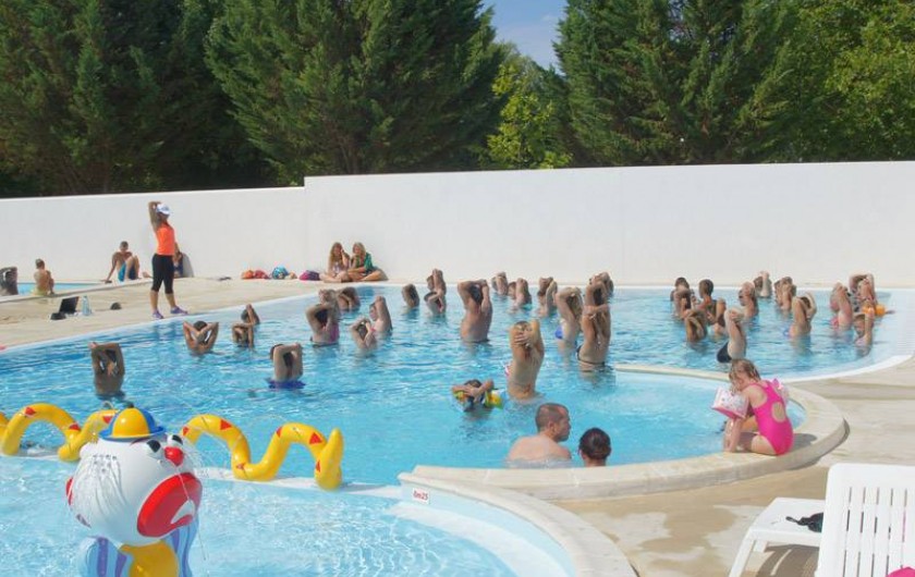 Location de vacances - Camping à Semussac