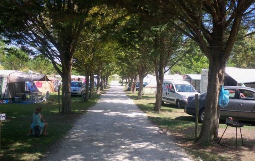 Location de vacances - Camping à Semussac