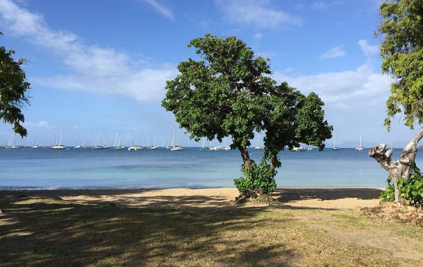 Location de vacances - Villa à Sainte-Anne