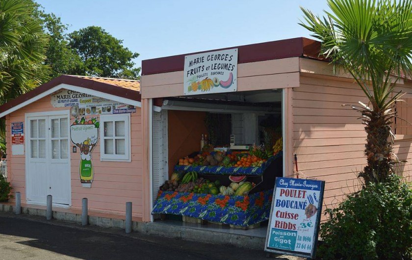 Location de vacances - Villa à Sainte-Anne