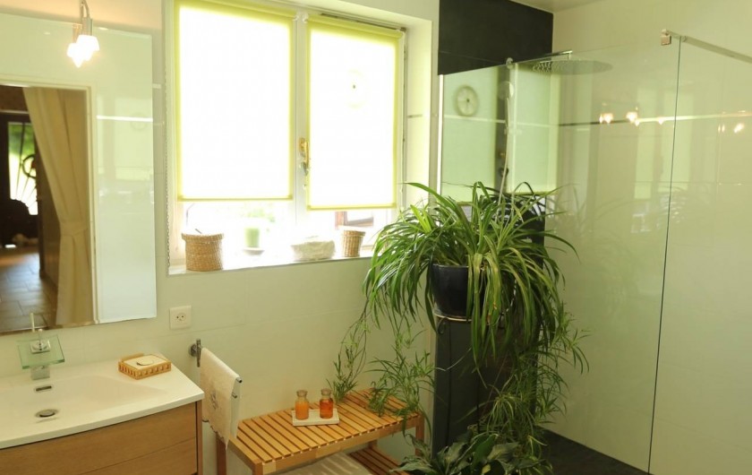 Location de vacances - Chambre d'hôtes à Marlenheim - La salle d'eau avec sa douche à l'Italienne