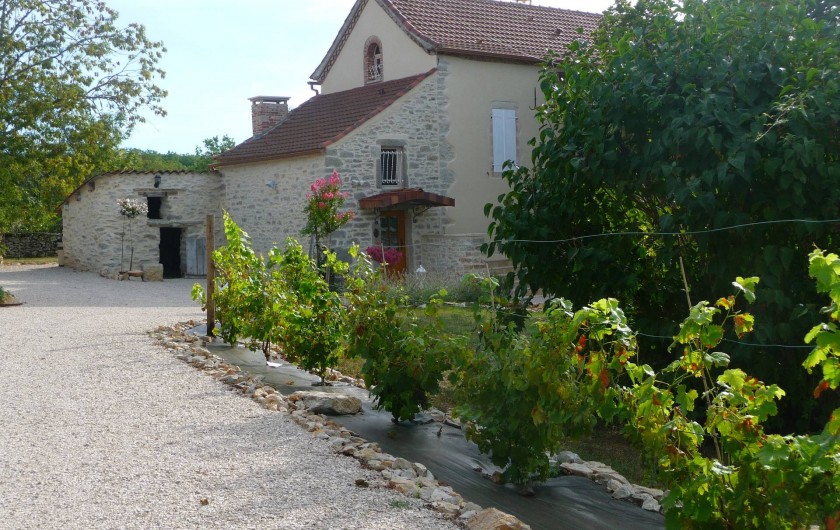 Location de vacances - Villa à Cahors - Allée principale, avec rang de vignes