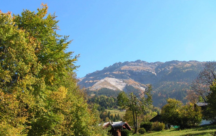 Location de vacances - Chalet à Sixt-Fer-à-Cheval