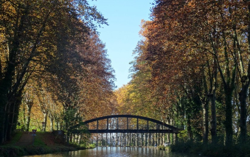 Canal à l'automne