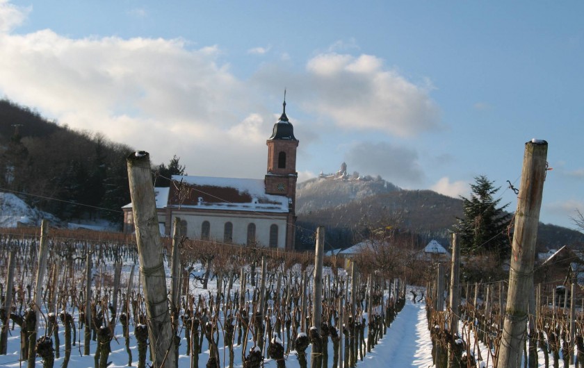 Orschwiller  Eglise Vignoble et Château du Haut-Koenigsbours sous la neige