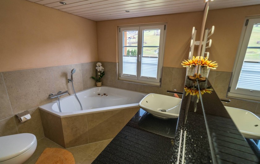 Location de vacances - Appartement à Grindelwald - salle de bain