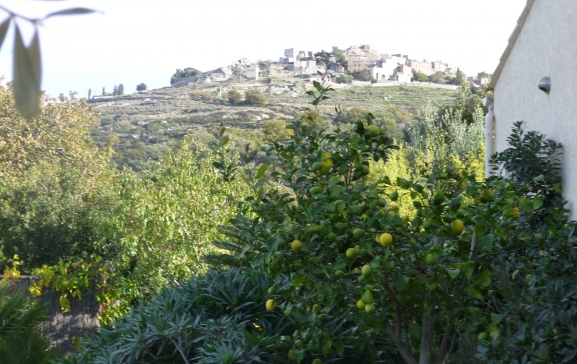 Location de vacances - Villa à Aregno - Sant Antonino au dessus de la villa