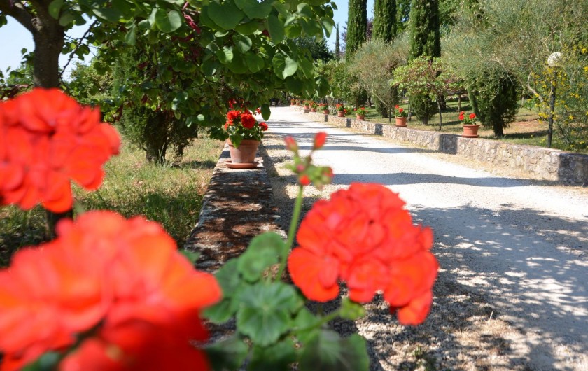 Location de vacances - Appartement à Amelia