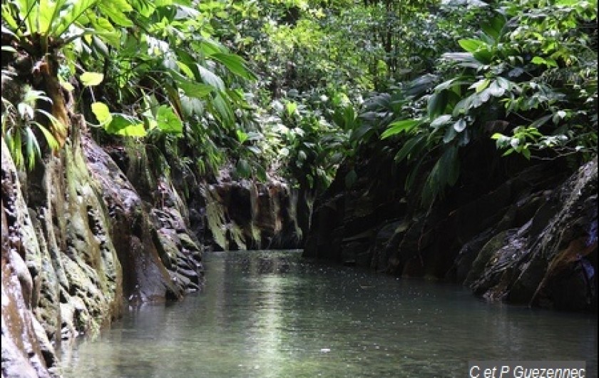 Location de vacances - Bungalow - Mobilhome à Sainte Rose - CANYON MOUSTIQUE