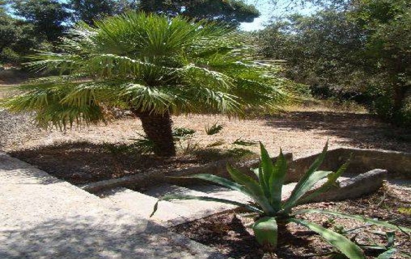 Location de vacances - Appartement à Patrimonio