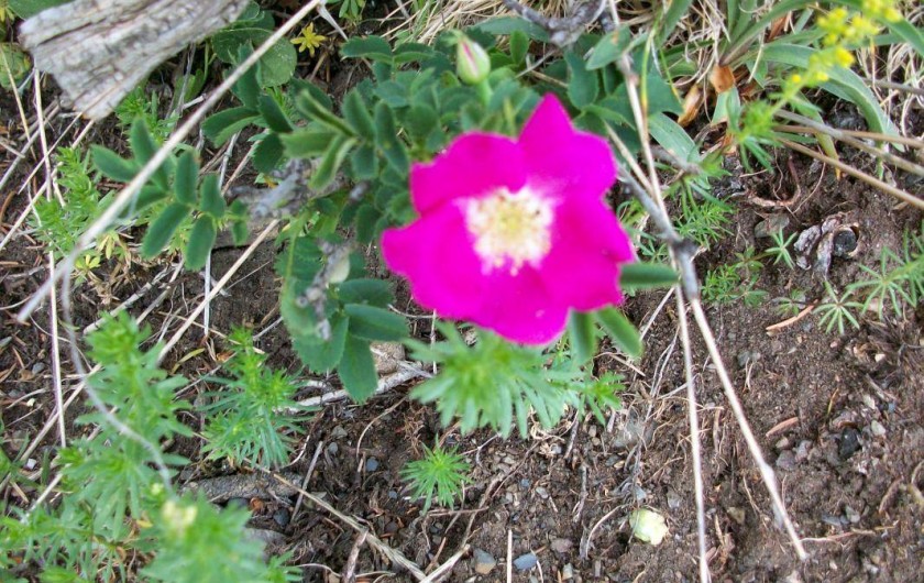Location de vacances - Gîte à Formiguères