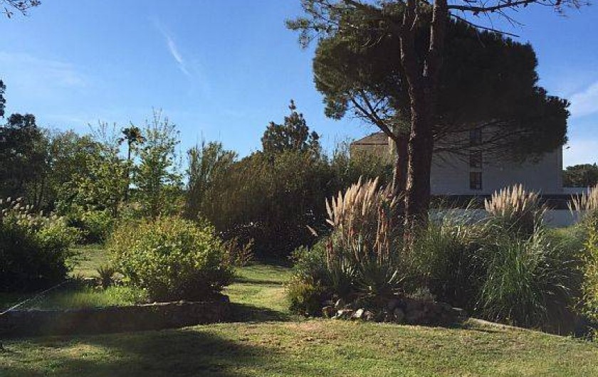Location de vacances - Villa à Calvi - Environnement  vue cour