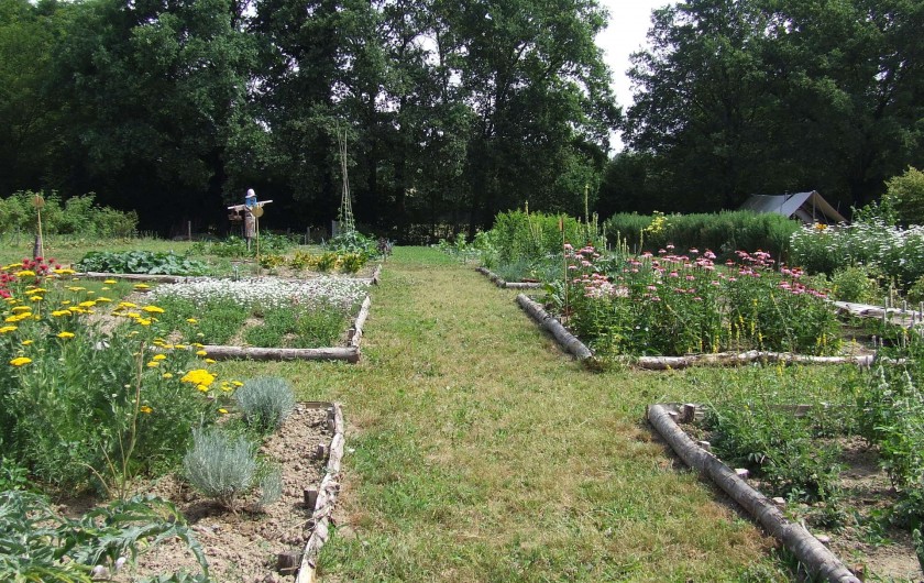 Location de vacances - Tipi à Saint-Vincent-en-Bresse - Nous cultivons nos légumes, fleurs et plantes médicinales !