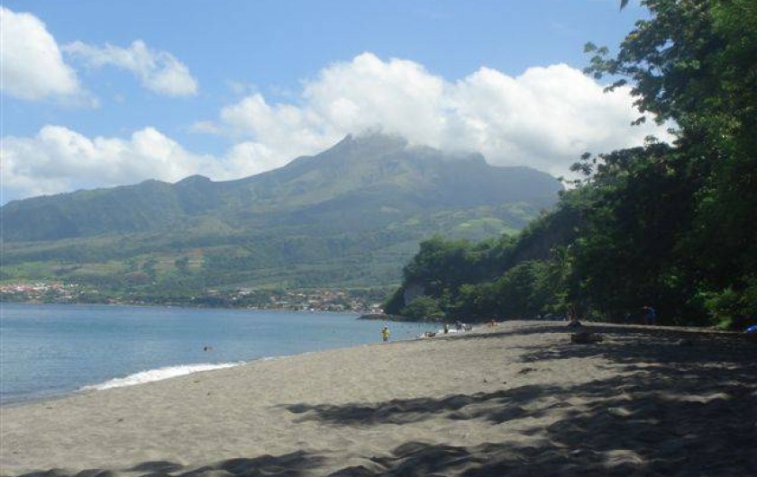 Location de vacances - Bungalow - Mobilhome à Le Carbet - Montagne Pelée