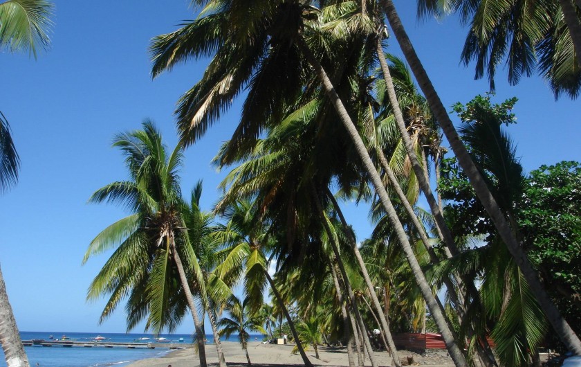 Location de vacances - Bungalow - Mobilhome à Le Carbet - Plage