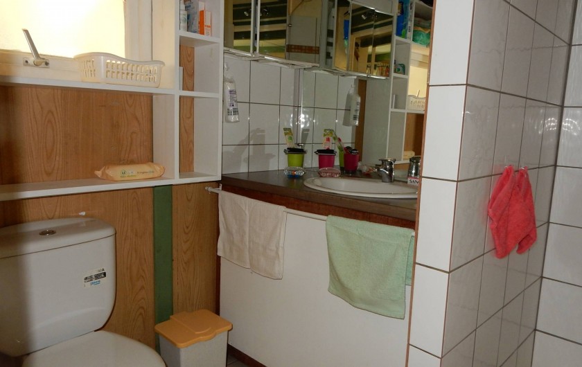 Location de vacances - Bungalow - Mobilhome à Le Carbet - Salle d'eau