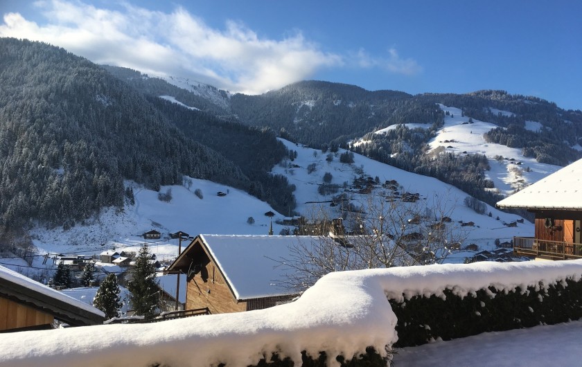 Location de vacances - Chalet à Arêches - Vue du jardin en hiver