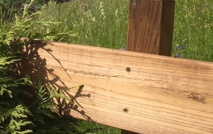 Location de vacances - Chalet à Arêches - Vue sur les prairies côté Nord