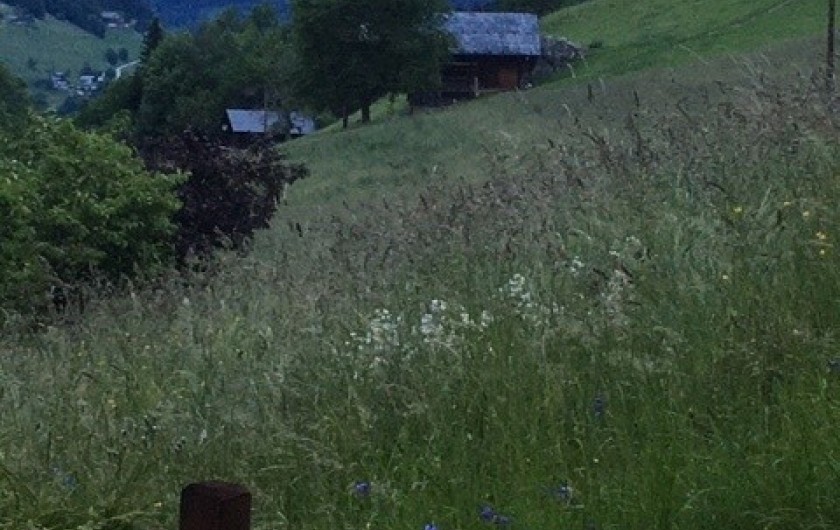 Location de vacances - Chalet à Arêches - Vue sur les prairies côté Nord