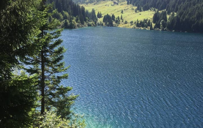 Location de vacances - Chalet à Arêches - Lac de Saint-Guérin à 3 kms