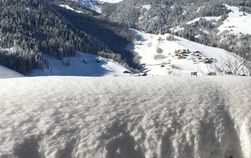 Location de vacances - Chalet à Arêches - Vue du jardin côté ouest et sur les montagnes enneigées