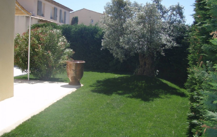 Vue du jardin côté entrée (= Ouest) avec un olivier centenaire